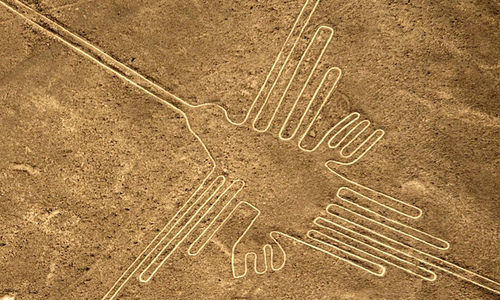 Image result for nazca lines hummingbird