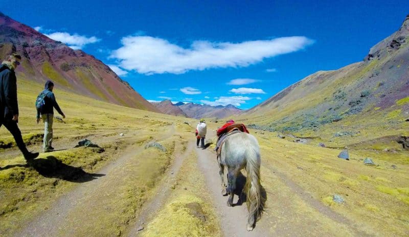 Montanha Colorida Peru - cavalo