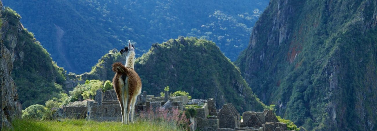 Ambassadør Diverse varer Salg Top 10 Best Places to Visit in Peru - Peru Hop