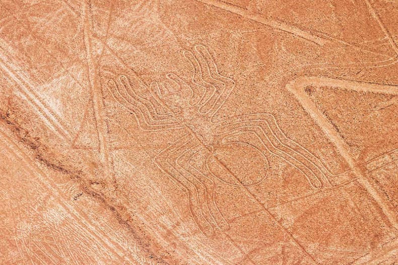 Nazca Lines Spider Geoglyph