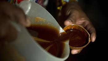 Taking Ayahuasca in Peru - Ayahuasca being poured